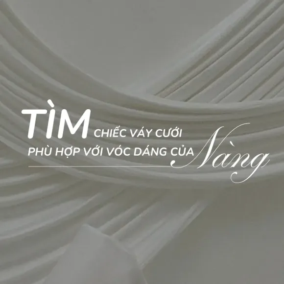 Tin tức